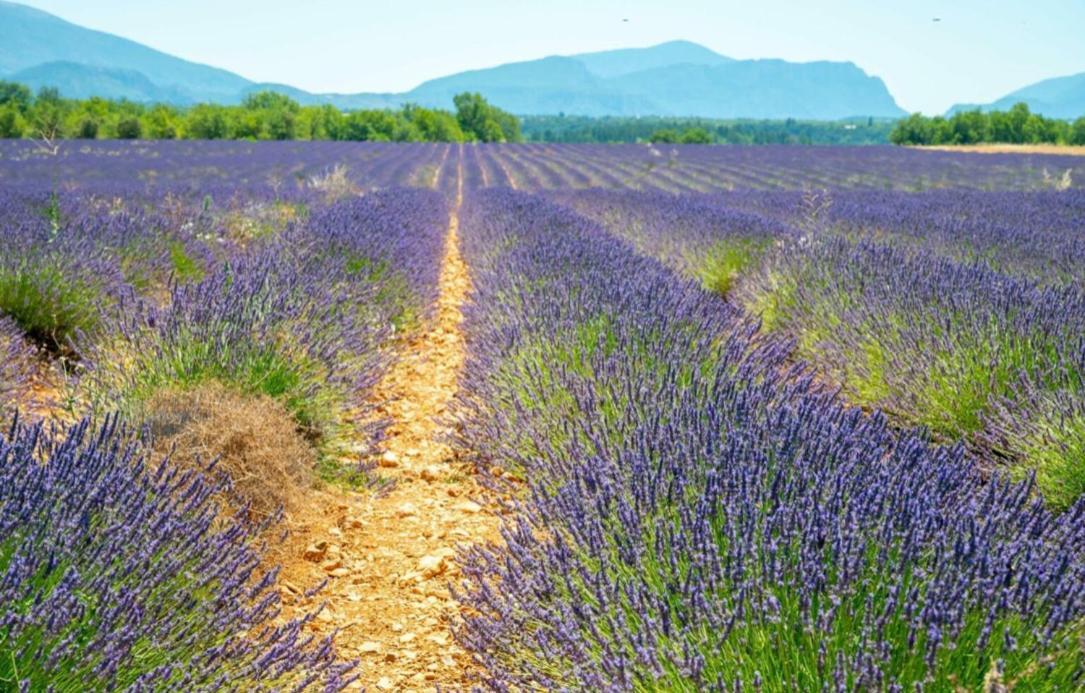 Fuvolea, Maison De Vacances A 15 Min Du Centre D'Aix-En-Provence, Piscine Chauffee En Saison - Jardin - Parking Prive Gratuit Fuveau Ngoại thất bức ảnh