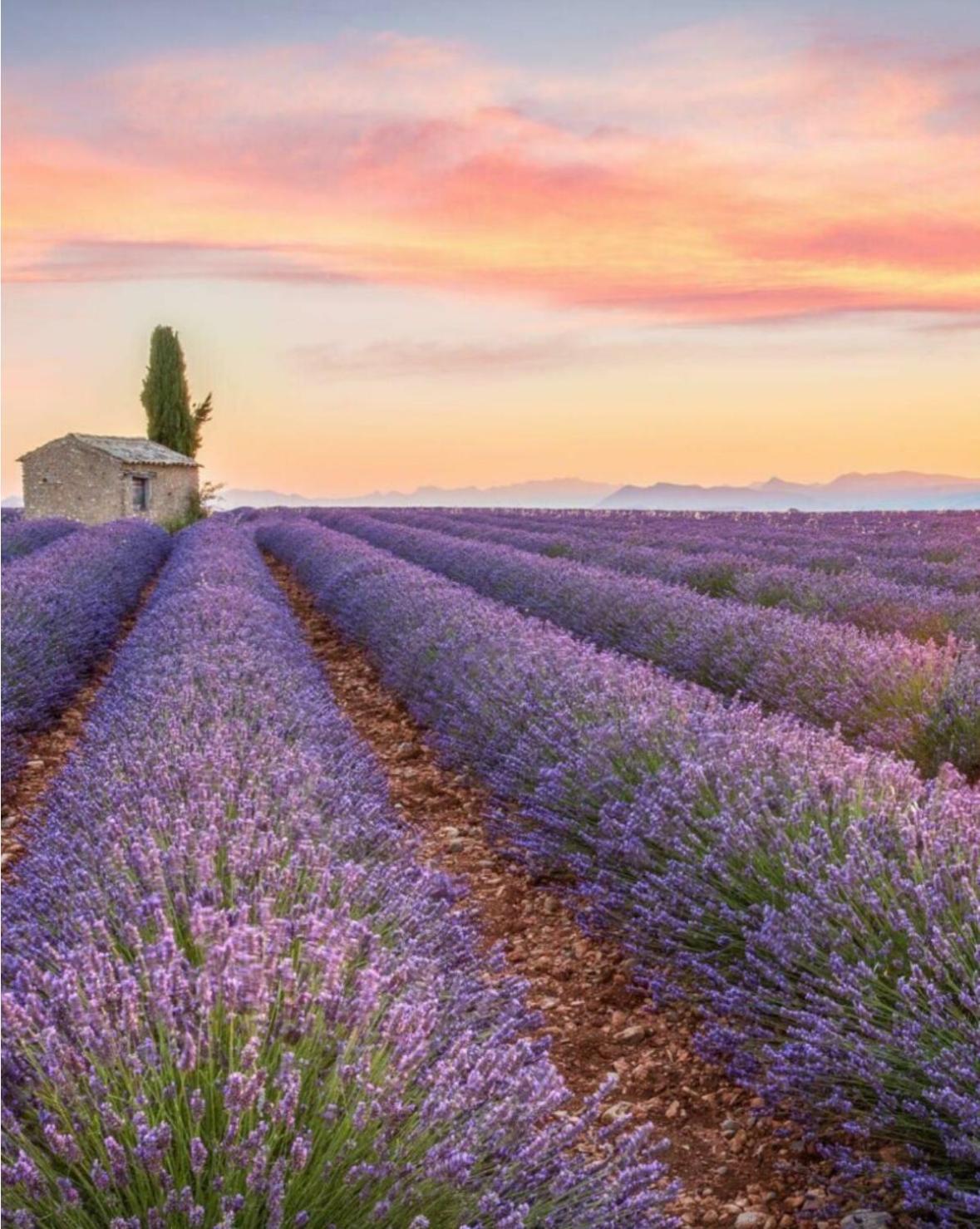 Fuvolea, Maison De Vacances A 15 Min Du Centre D'Aix-En-Provence, Piscine Chauffee En Saison - Jardin - Parking Prive Gratuit Fuveau Ngoại thất bức ảnh